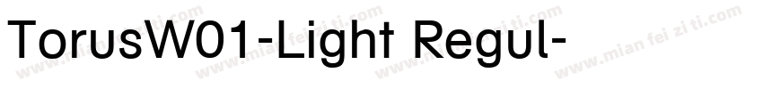 TorusW01-Light Regul字体转换